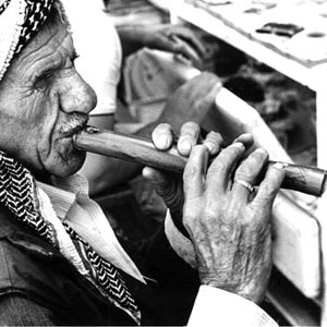 Instrumental In Iraq